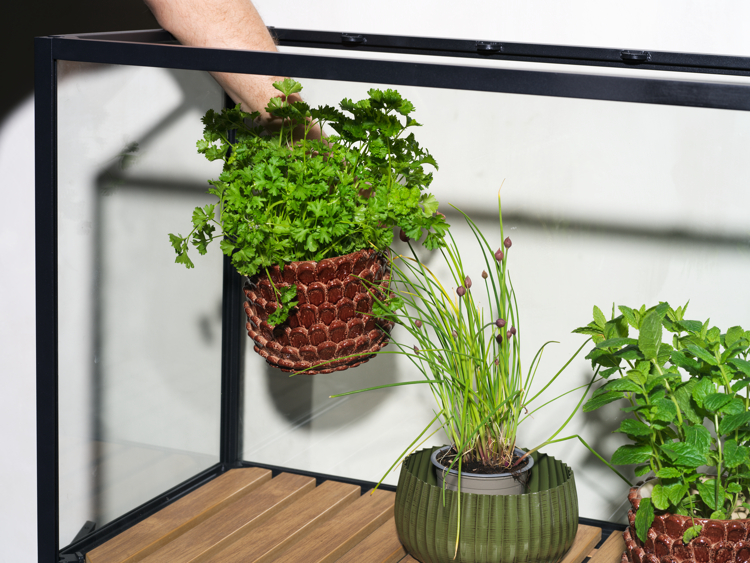 Grower Greens Växtskåp Svart