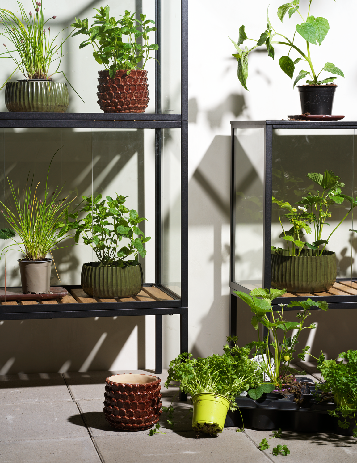 Grower Greens Växtskåp Svart