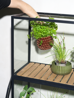 Grower Greens Växtskåp Svart