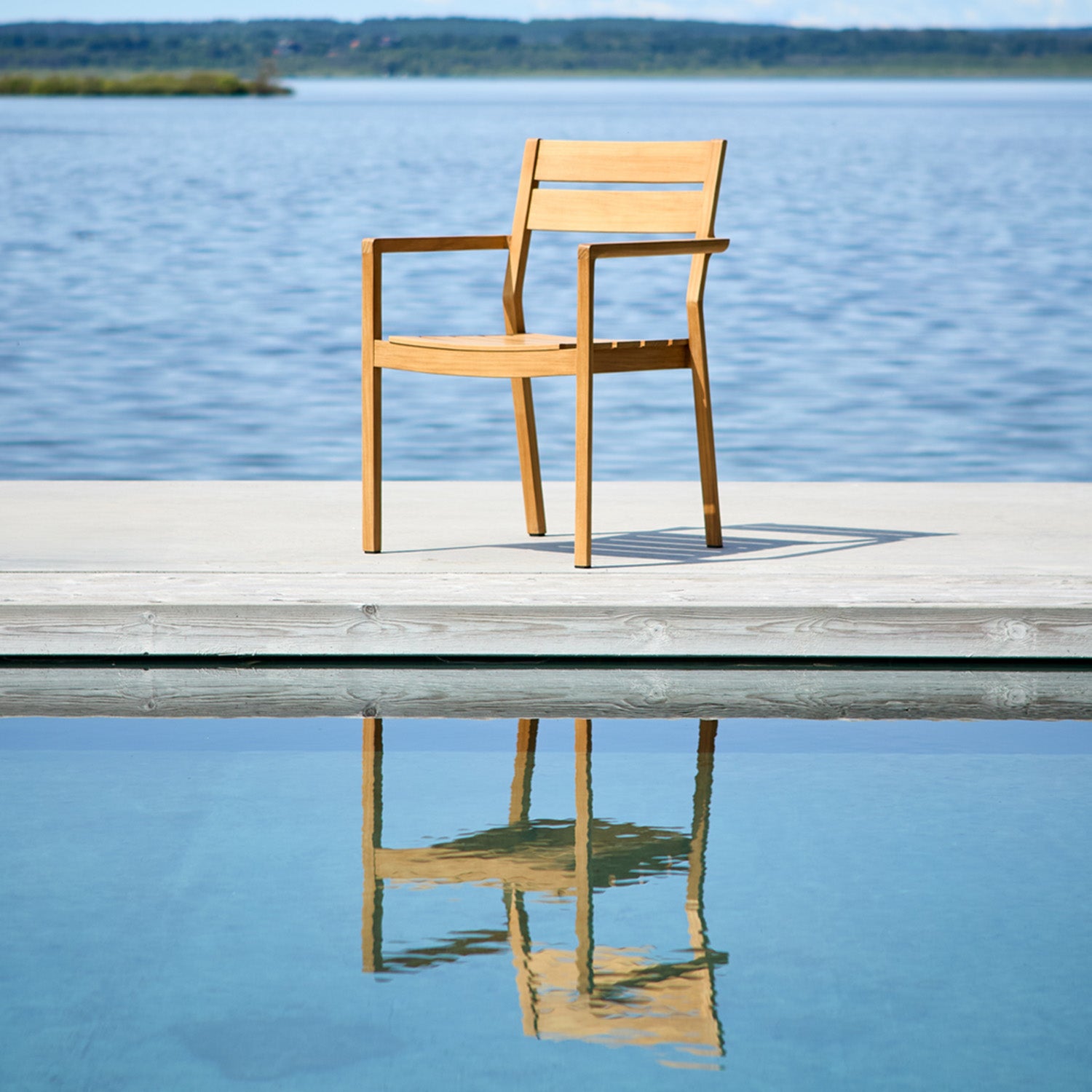 Delia Teak 16,9.jpg