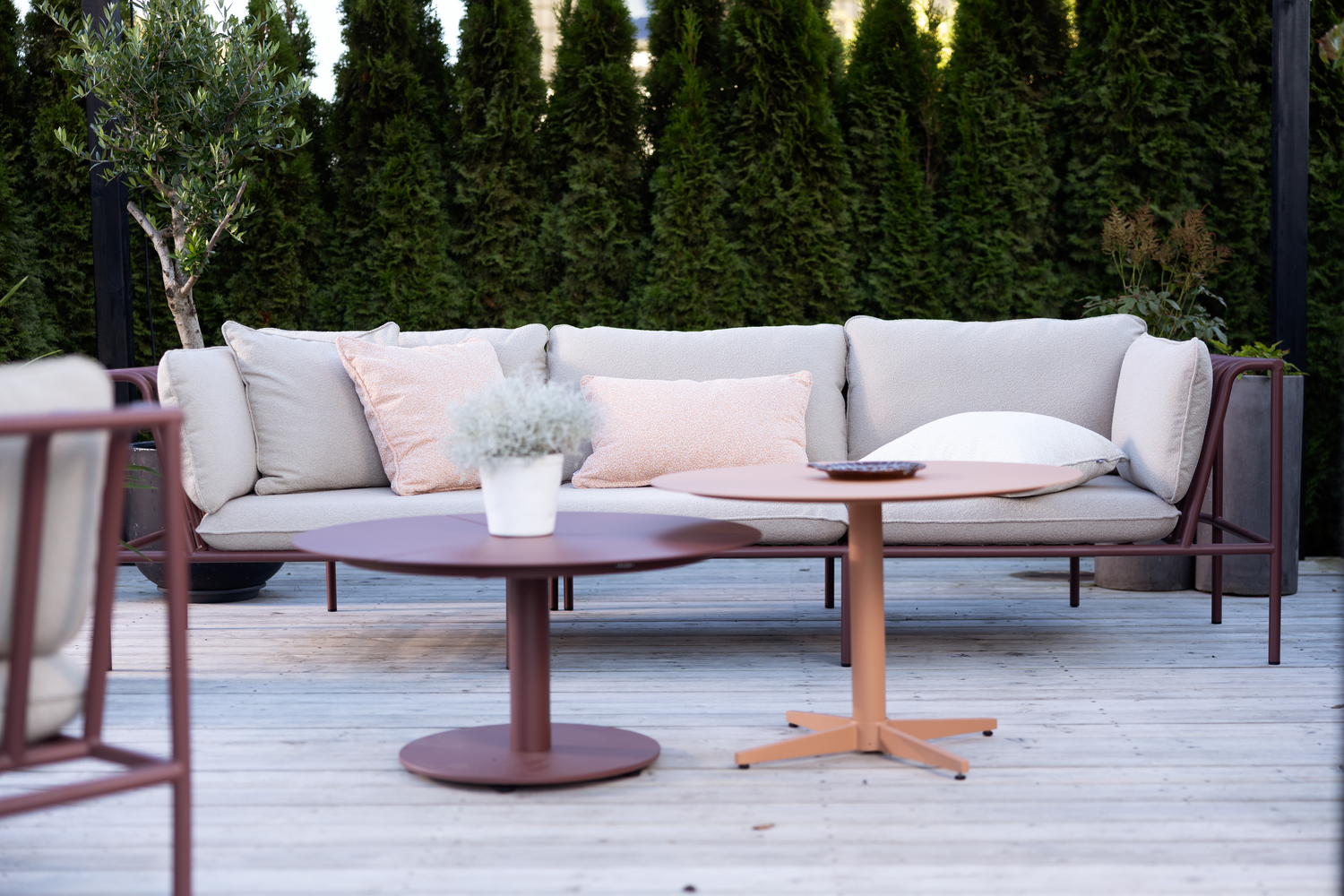 Collier mittdel Zin Red/Teddy Beige