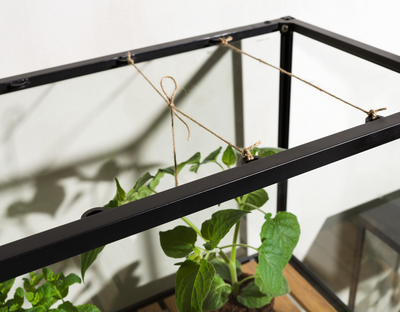 Grower Greens Växtskåp Svart